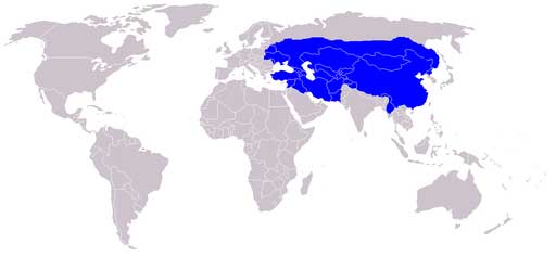 Mongol Empire